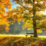 Västerängen September 2024