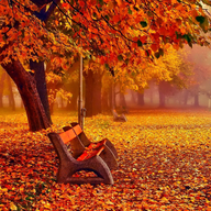 Västerängen November 2024