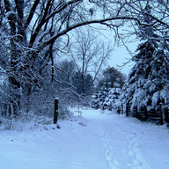 Västerängen Januari 2025