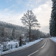 Västerängen Februari 2025