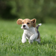 Västerängen Maj 2025