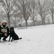 Västerängen Januari 2026